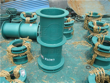 <a href=http://www.www.assmmm.cn target=_blank class=infotextkey>防水套管</a>